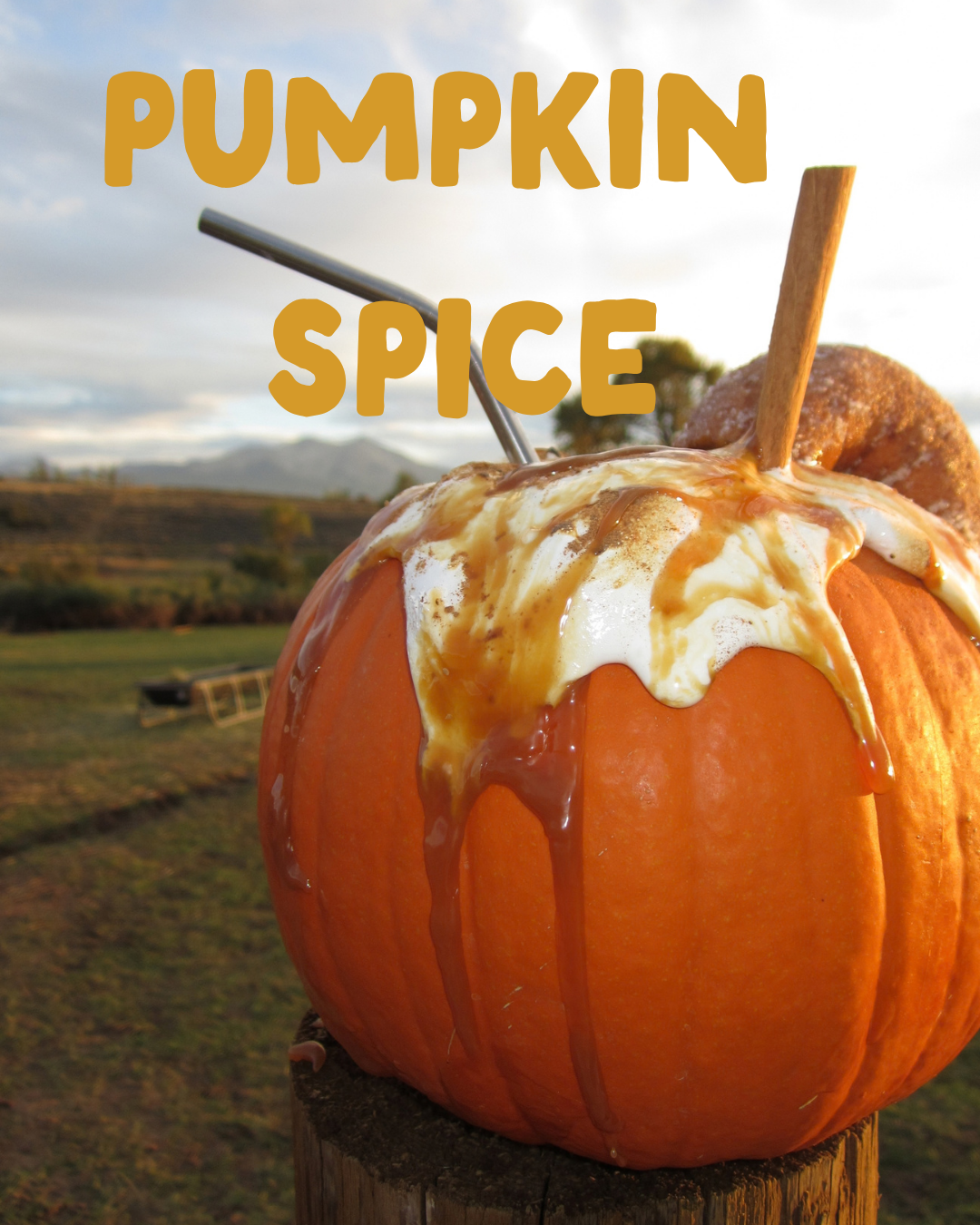 Pumkin Spice